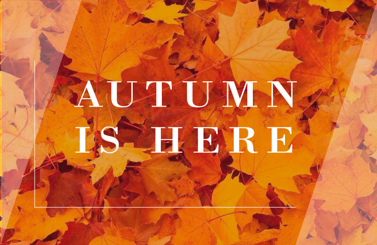 AutumnAllergies_COVER.png