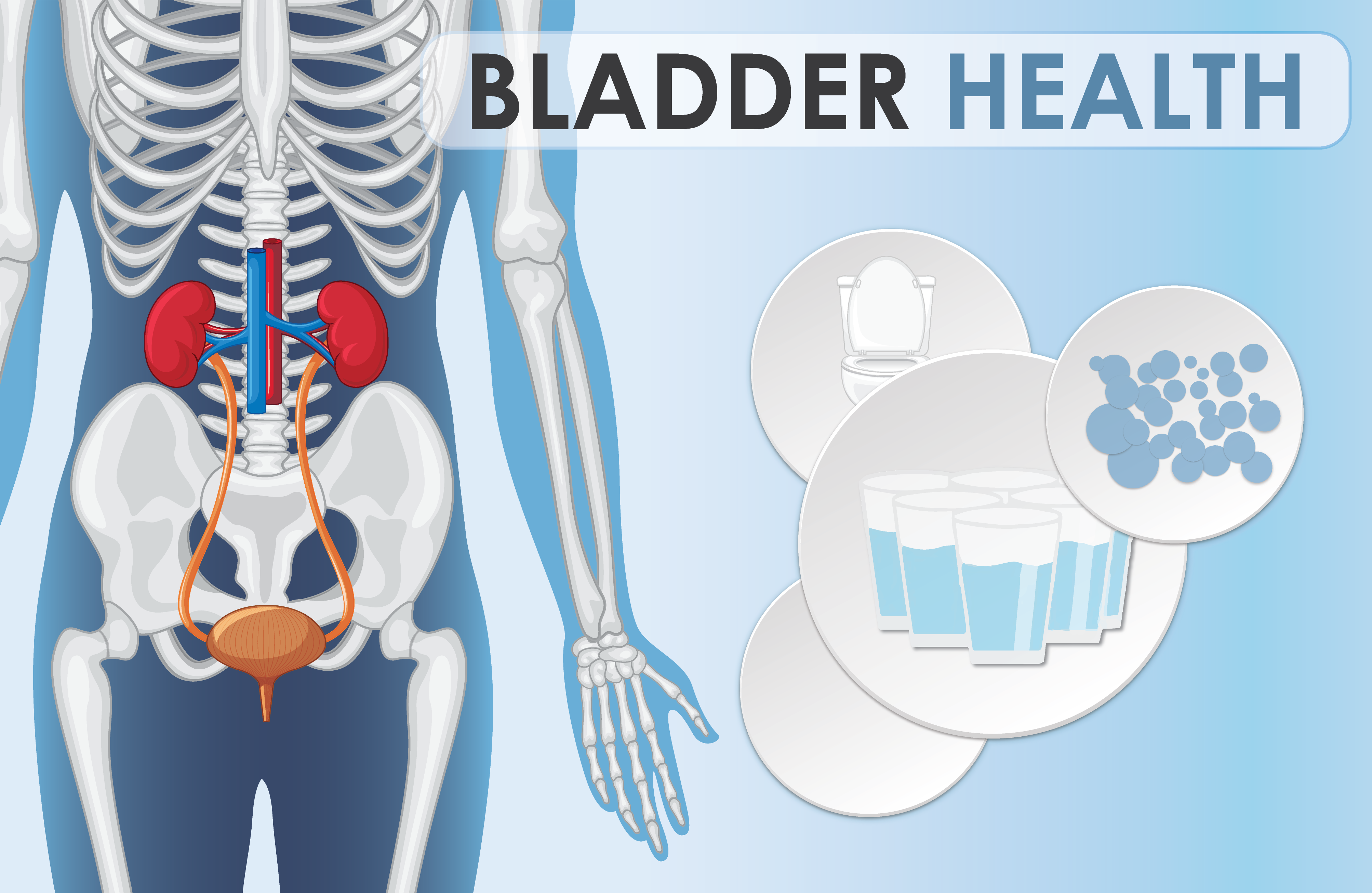 BladderHealth.Cover.png