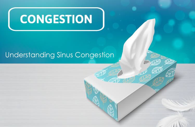 CongestionTitle.jpg
