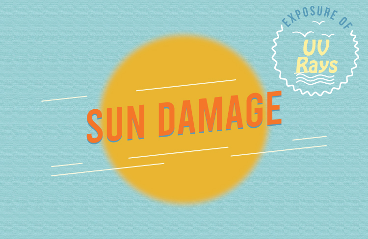 SunDamageCover.jpg
